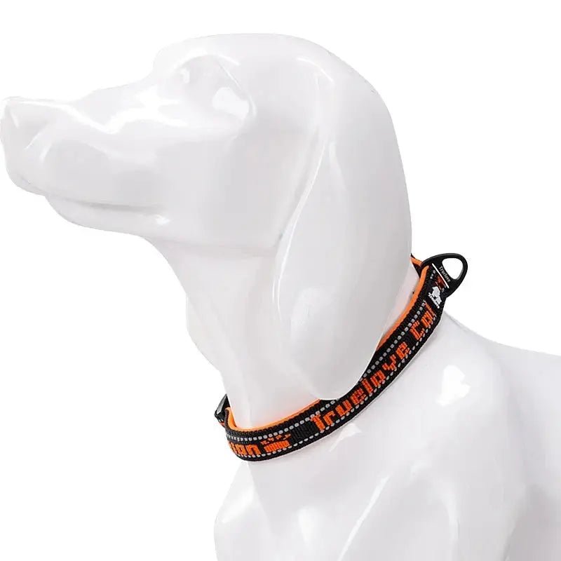 Truelove Halsband, weiche Polsterung und Schnellverschluss pet-shop24