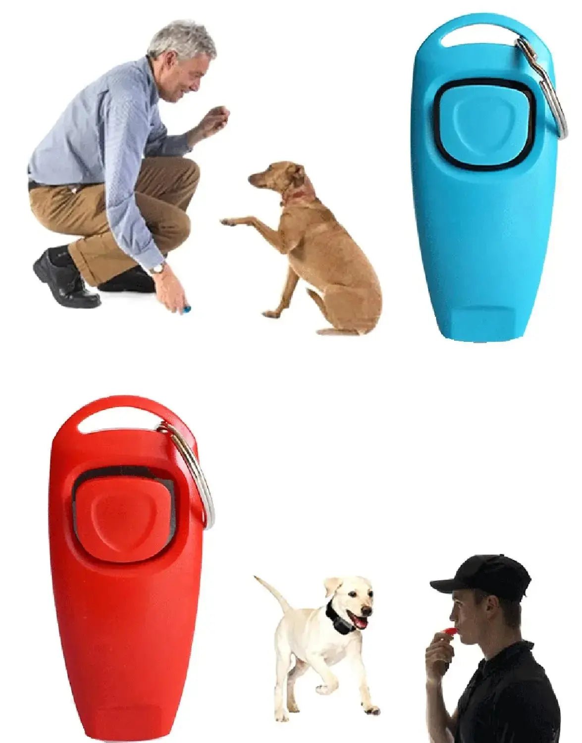 Trainingsklicker für Haustiere – Einfach, Effektiv & Bunt bunter,farben,hund,trainingsklicker pet-shop24