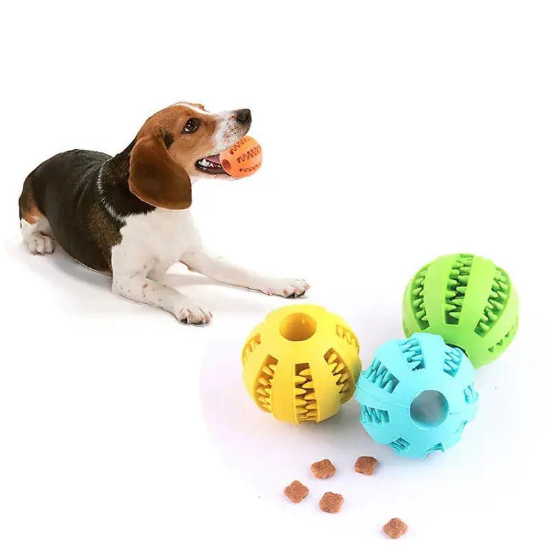 TRUELOVE Futter Ball - interaktives Hundespielzeug ball,futter,hunde,hundespielzeug,interaktives,truelove pet-shop24