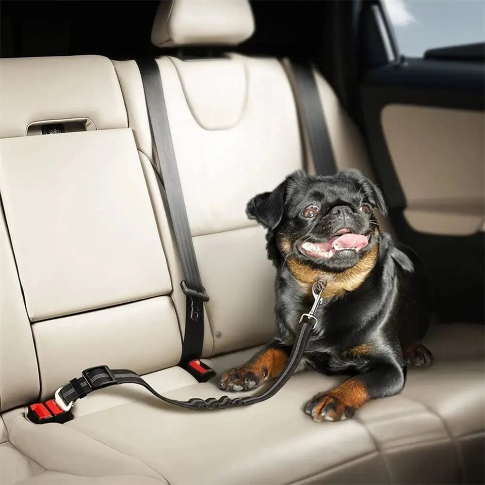 Verstellbarer Hunde Sicherheitsgurt für Autos - Sicher Reisen gurt,hunde,ihres,sicherheit,sicherheitsgurt pet-shop24