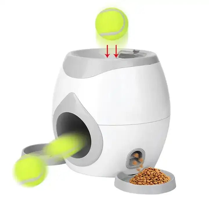 Mini-Tennisballwerfer für Hunde – Unermüdlicher Spielspaß hunde,mini,spielspa,spielzeug,tennisballwerfer pet-shop24