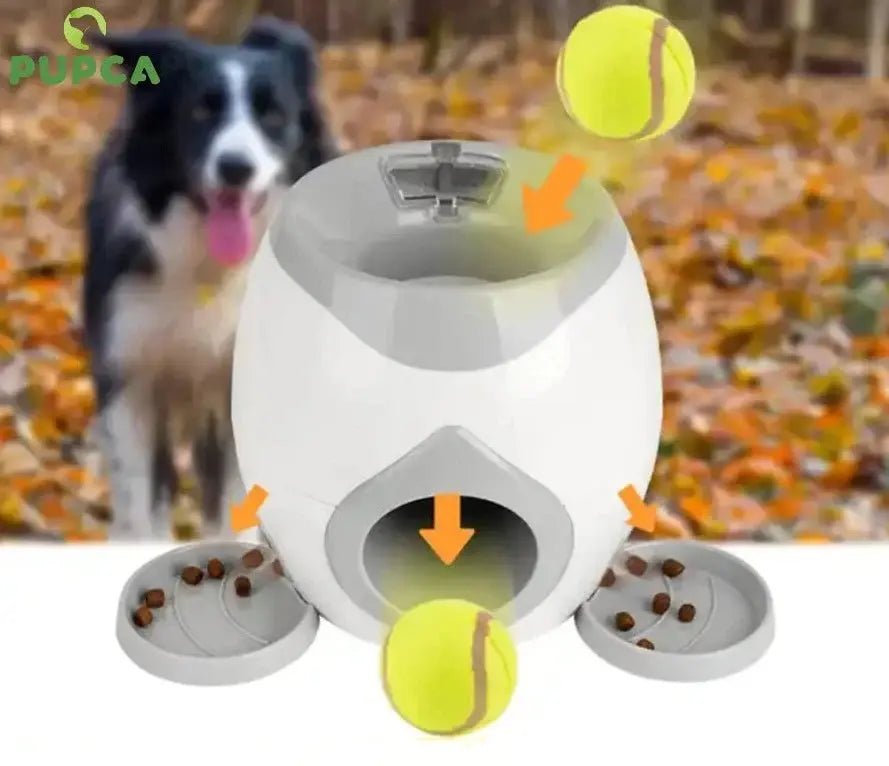Mini-Tennisballwerfer für Hunde – Unermüdlicher Spielspaß hunde,mini,spielspa,spielzeug,tennisballwerfer pet-shop24