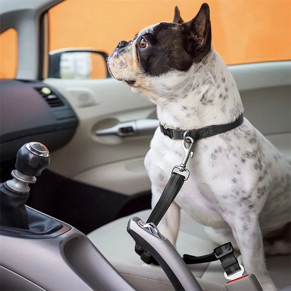 Verstellbarer Hunde Sicherheitsgurt für Autos - Sicher Reisen gurt,hunde,ihres,sicherheit,sicherheitsgurt pet-shop24