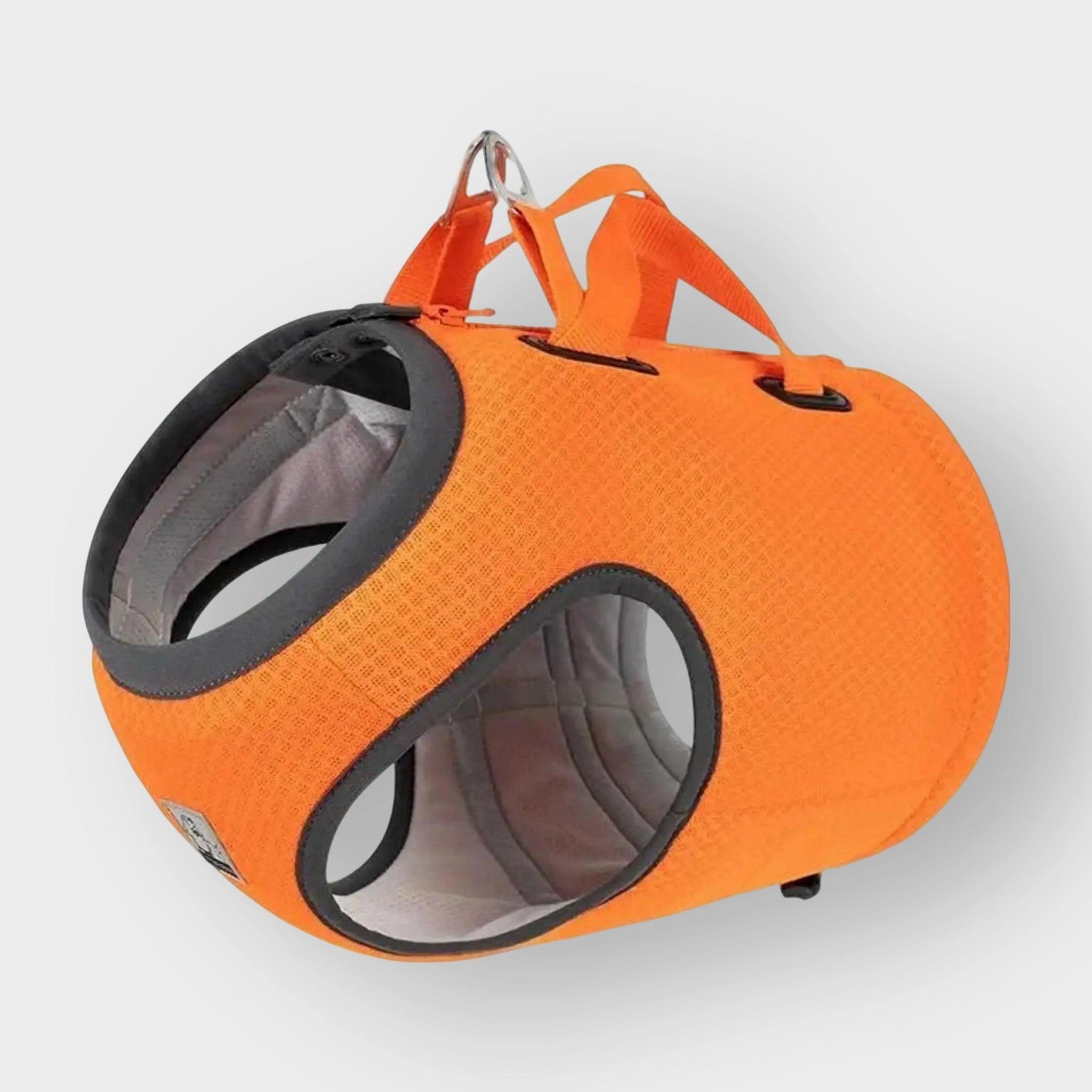 Oranges Hundegeschirr von Truelove, geeignet für die Sicherheit im Auto. Pet-Shop24