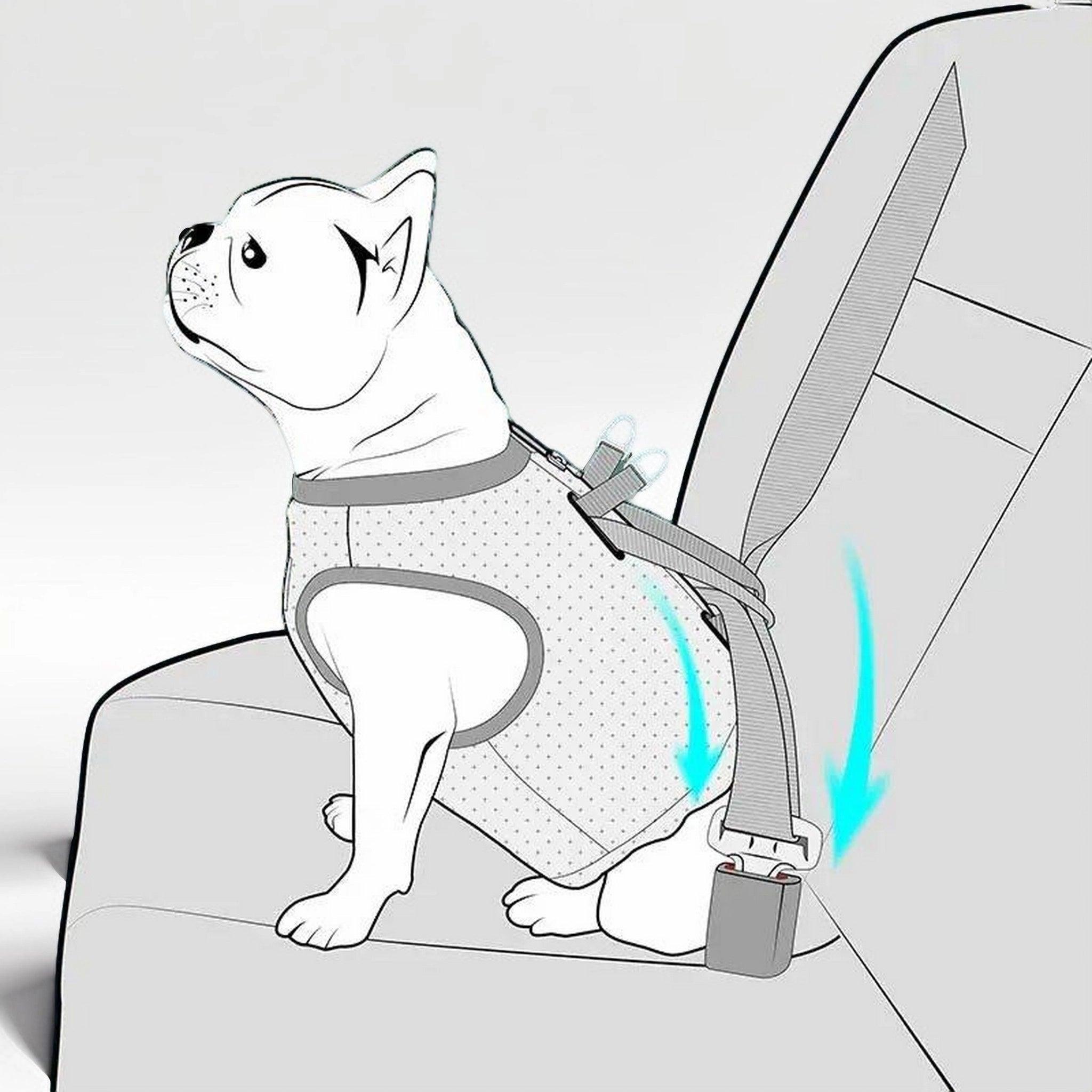 Illustration eines Hundes, der mit einem Truelove-Hundegeschirr sicher auf dem Autositz befestigt ist. pet-shop24